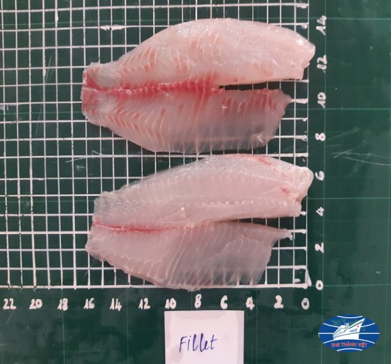 Cá diêu hồng fille đông lạnh 1kg size 100-300up và 300 up